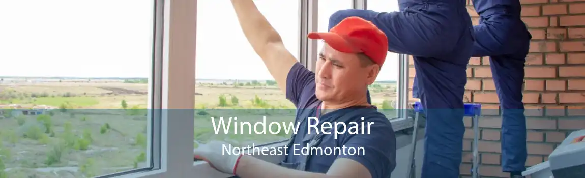 Window Repair Northeast Edmonton